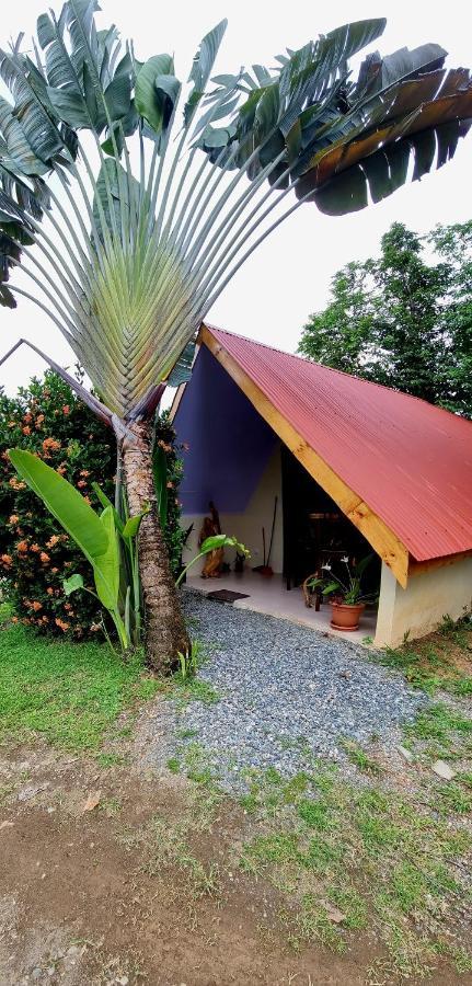 Ballena Oasis Homes & Glamping Apartment *