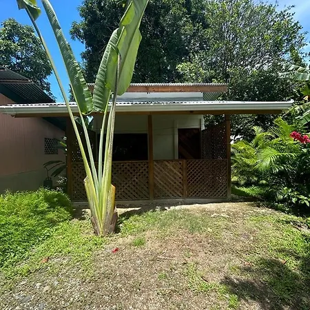 Ballena Oasis Homes & Glamping Uvita Exterior foto