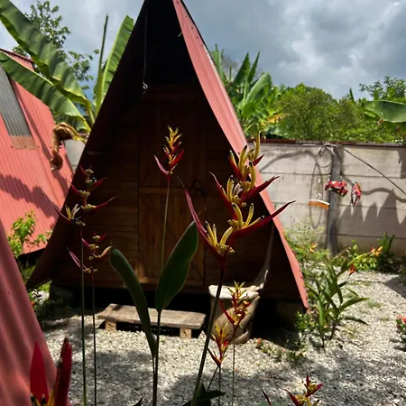 Ballena Oasis Homes & Glamping Uvita Exterior foto