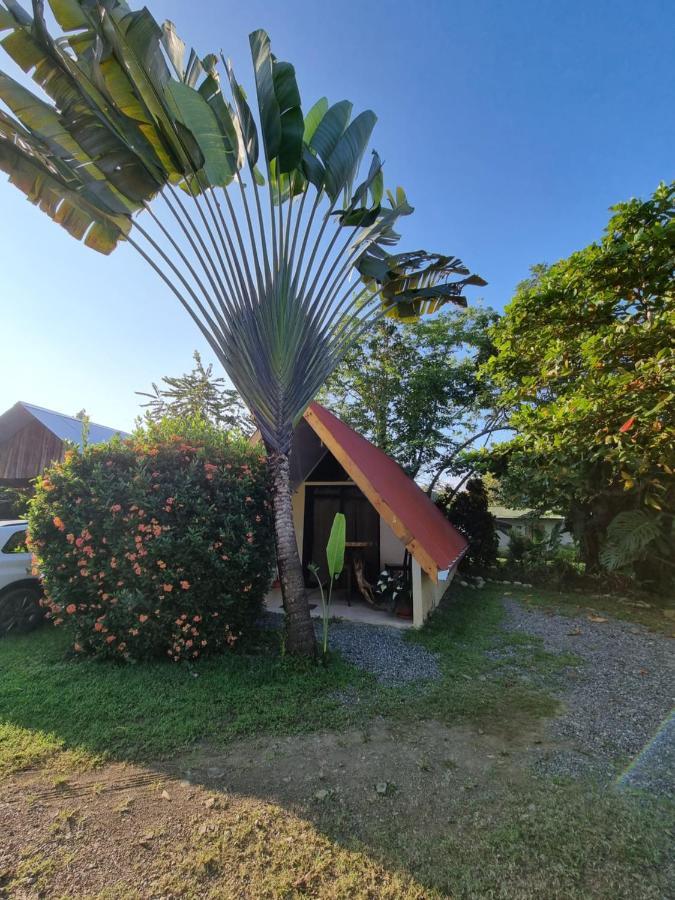 Ballena Oasis Homes & Glamping * Uvita
