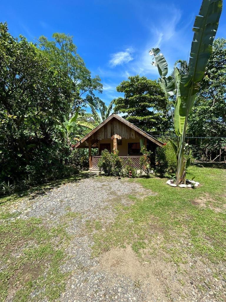 Apartment Ballena Oasis Homes & Glamping *