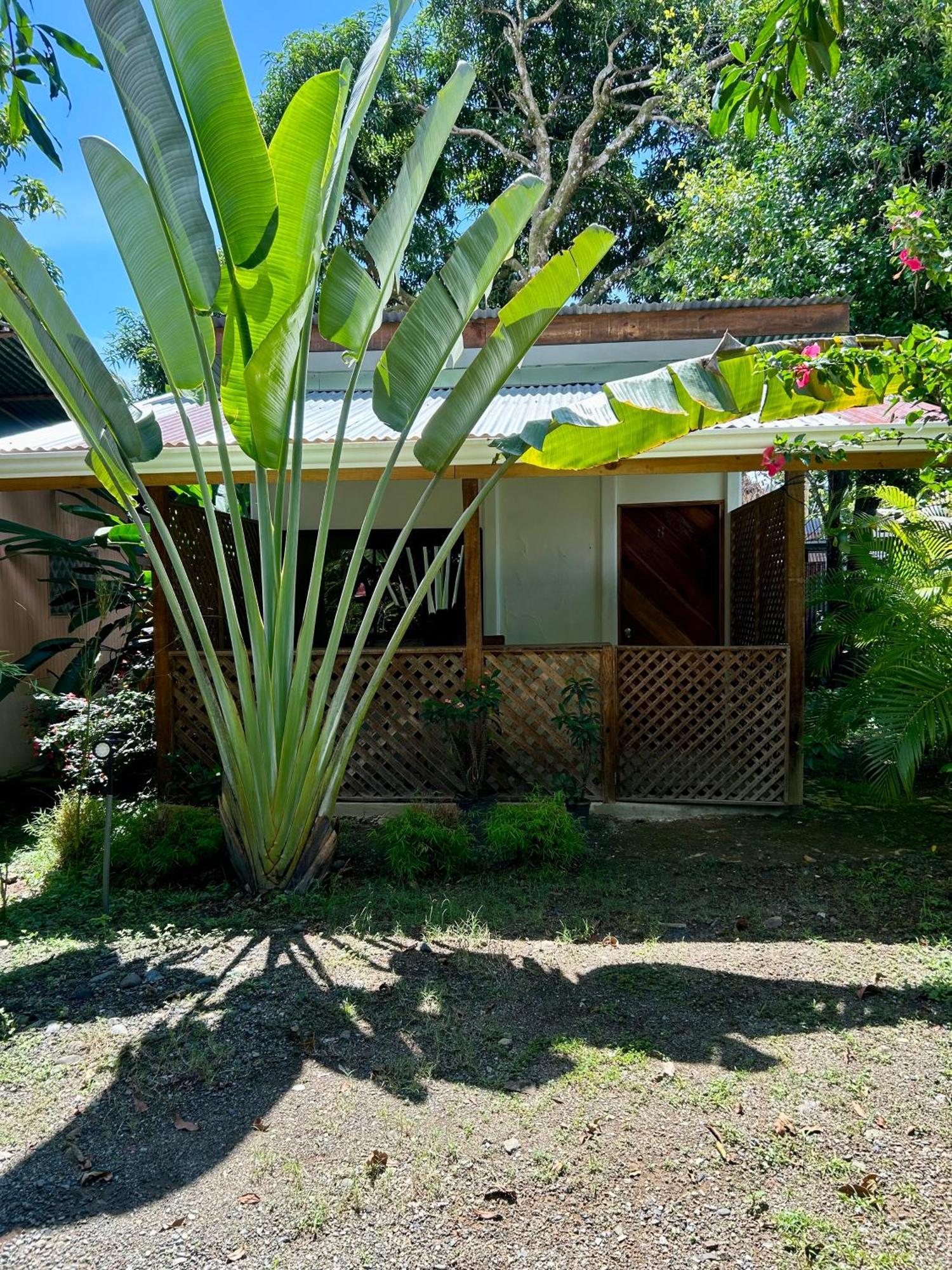 Ballena Oasis Homes & Glamping Apartment *