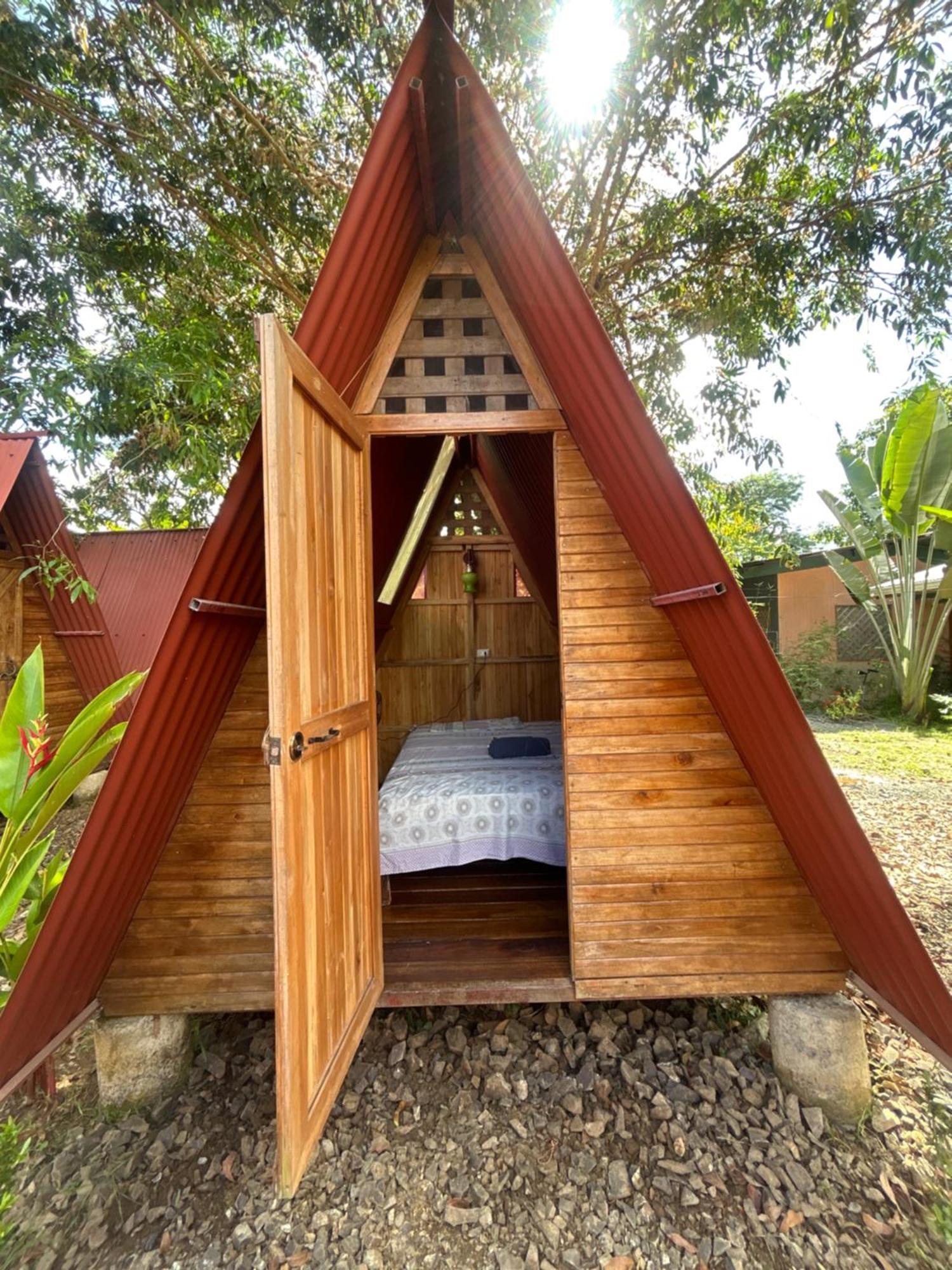 Apartment Ballena Oasis Homes & Glamping *