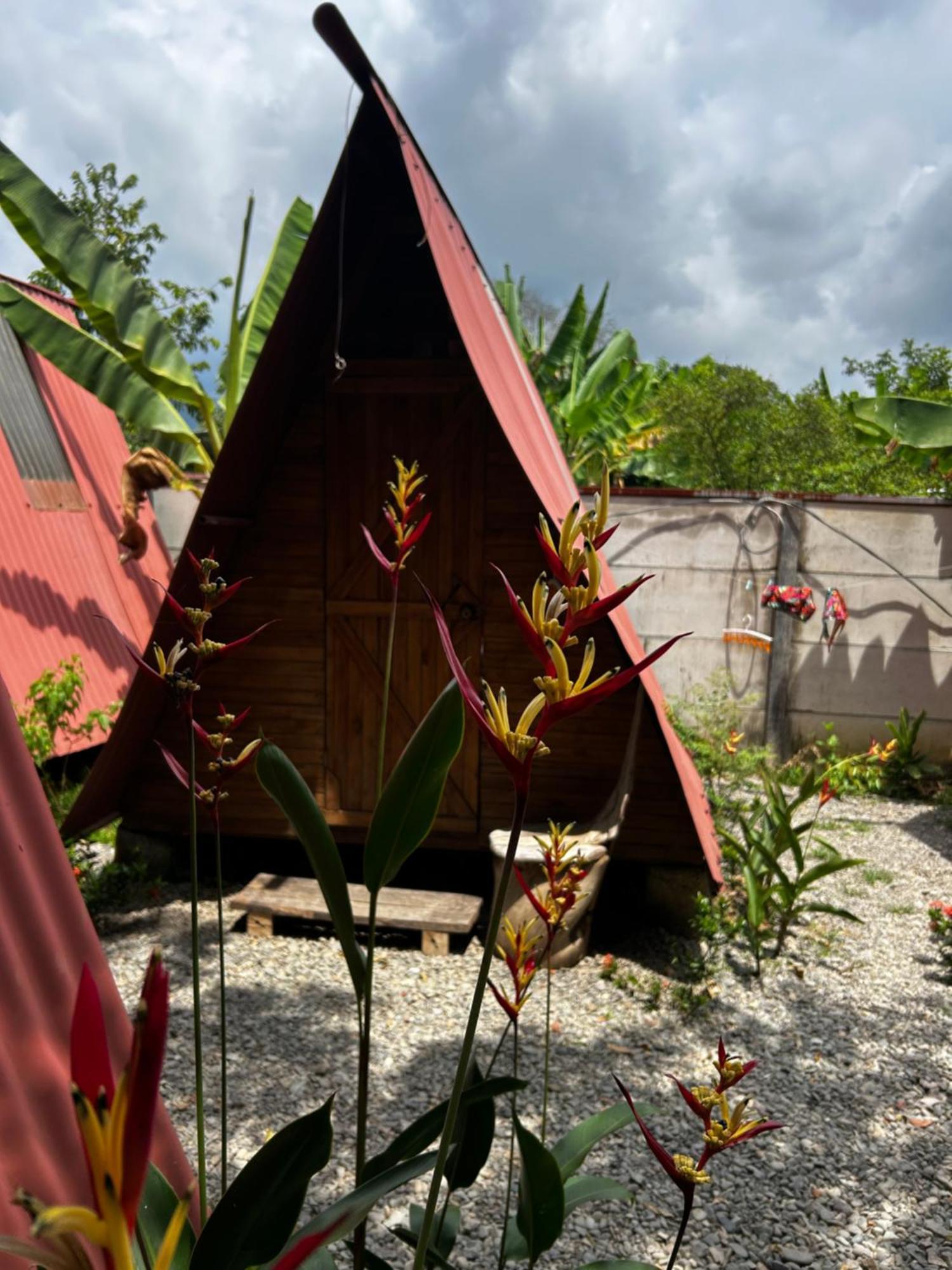 Ballena Oasis Homes & Glamping Apartment *